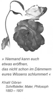 Blumengesicht_grau_Zitat_05